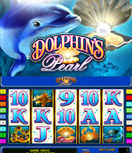 Dolphin